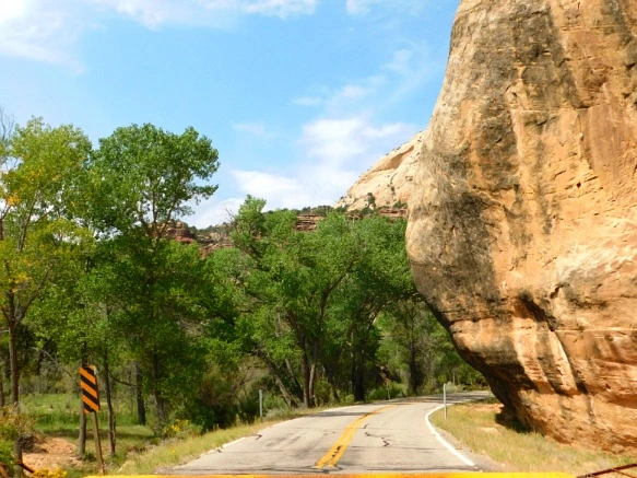 995B1C3359B4846317560D