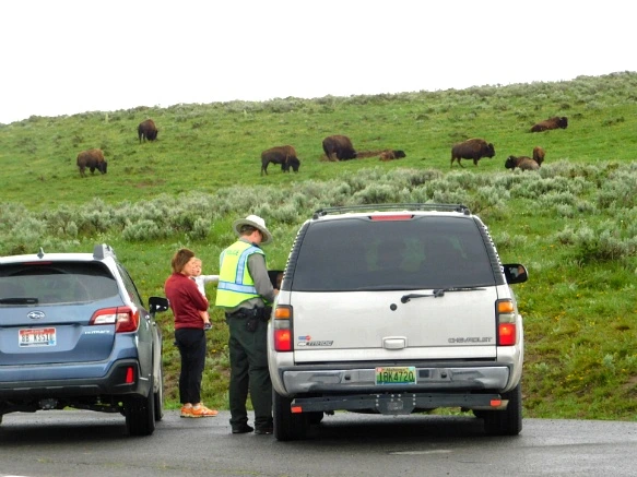 999BBB4B5B39A83E050CEE