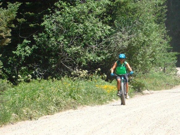 2373433F595C318F1FB808