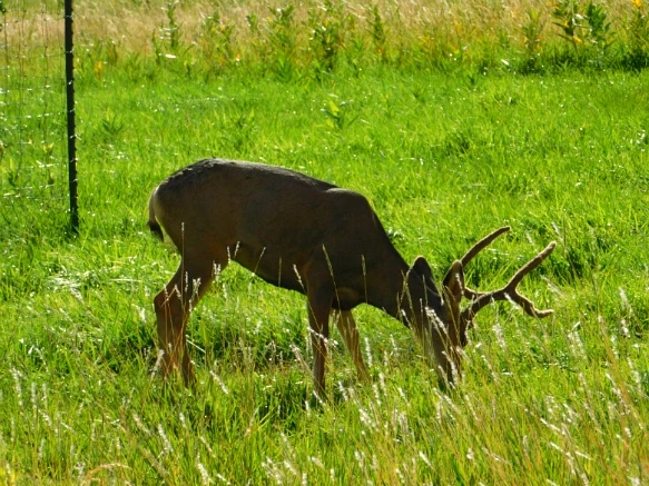 99F83C3359B74D5A18ACBA