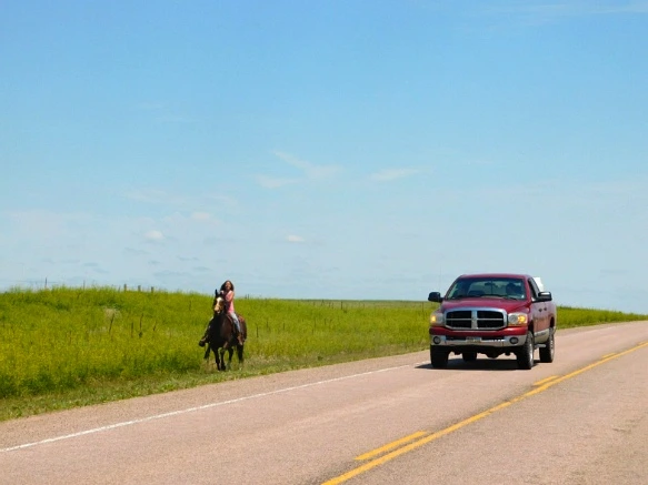 990CC14A5B442E541630ED