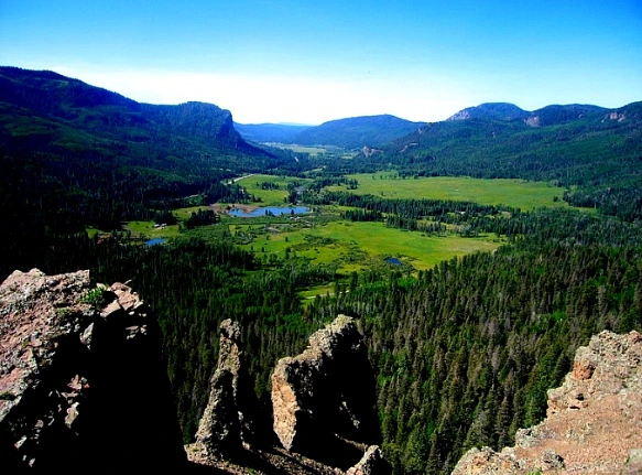 2475C1425760CA644410E7