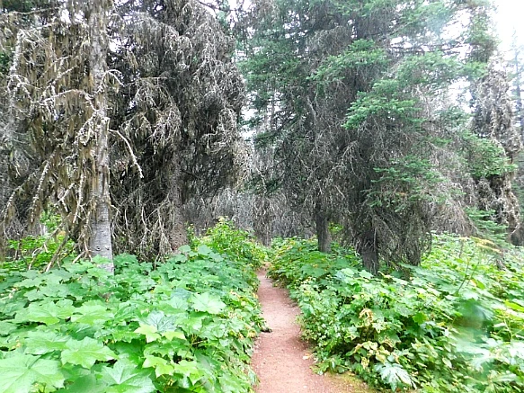 99EB9F505B8CA034154AE0