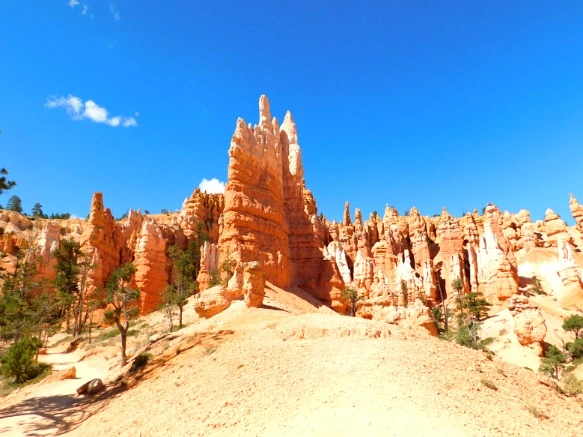 996ED13359B878D94BB482