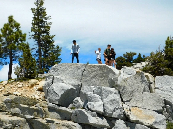 23225F3F577219152772FC