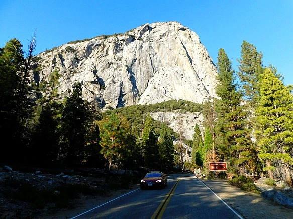 995B1B4A5BDBD98C23CE29