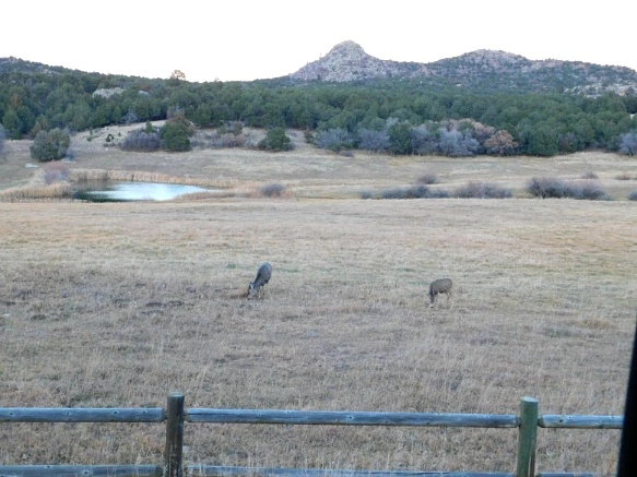 99646E335A07C87A2A6174