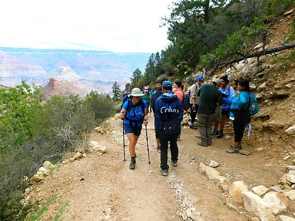 99056C385BC9513329CFBE