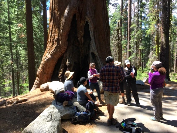 263BF53457736F95168D68