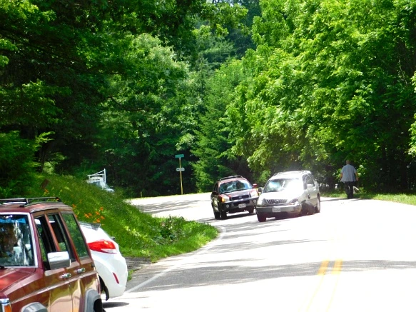 234A504759502075382C89