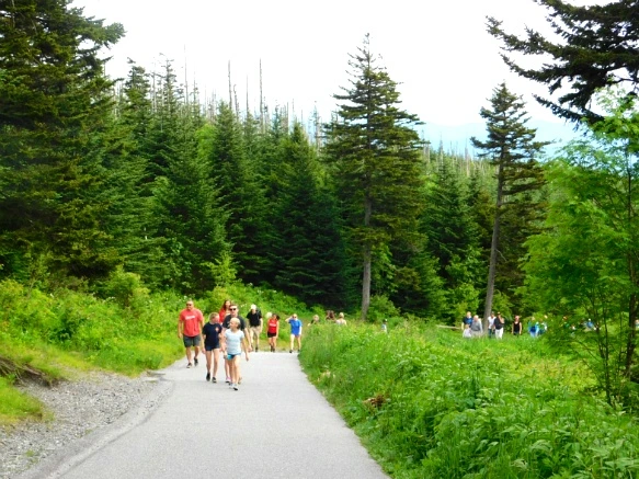 265CB14A595098E336ABBE