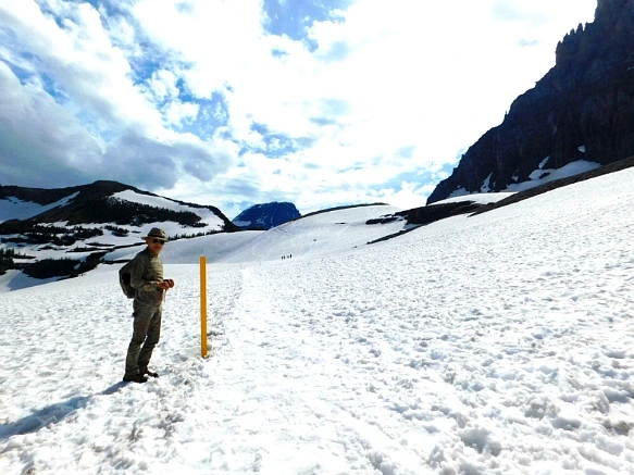 99DC774F5B35777E0B189D