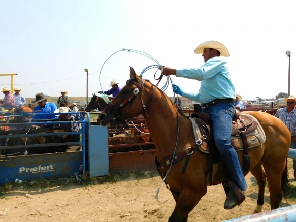 9919D8365B7A39570FBF45