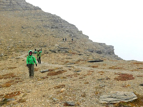 998161455BA05DB404E1FC