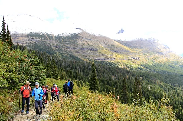 99A88C4F5BA311C436D942