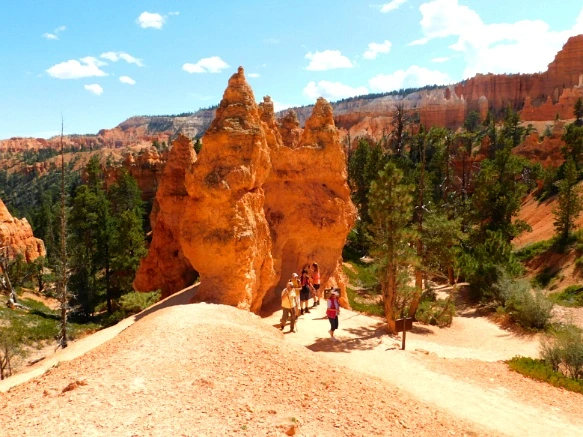 99A92F3359B878D40A0389