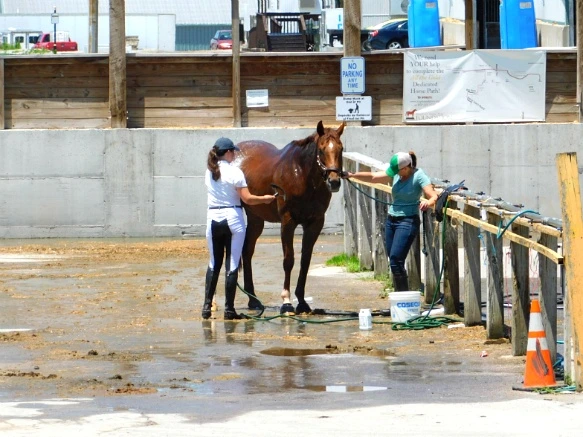 2395C033597D194C30A540