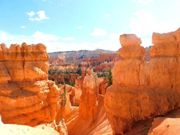 9985363359B9BBD426772D