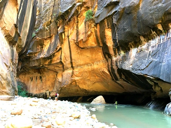 993C263359BB16450AB0A8