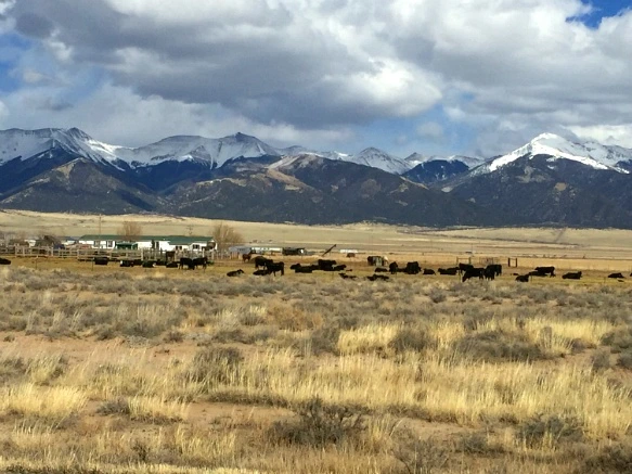 256B9D4E570032E826EBCD