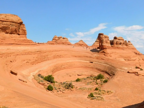 99D4383359B319280C8A19