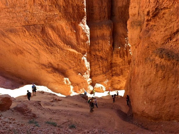 99AF963359B8760B0E034E