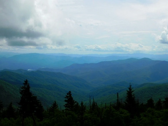 2528DD4E595096E7021EA3