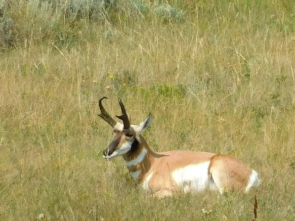 9995994D5B7653D8265BEA