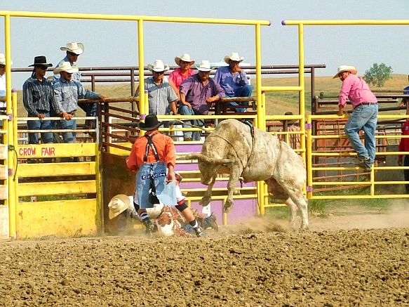 9948553B5B7D9EBE02B0C8