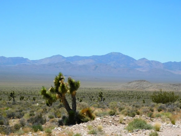 2661303D576CC65739942B