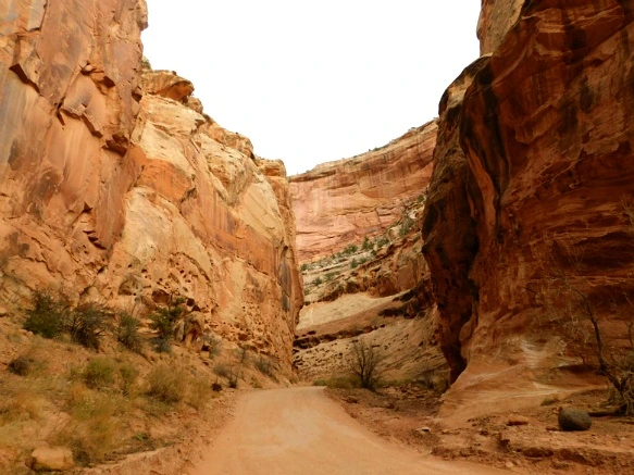 998F14335A13BB2D1522C2