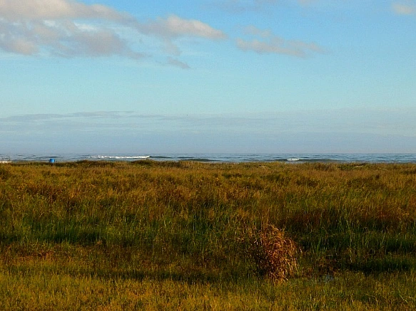 99C3F0415BF9FB6307B145