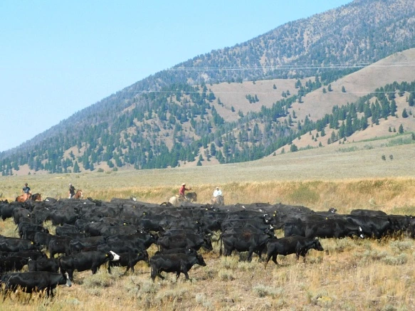 99787E3359ACE28111E492