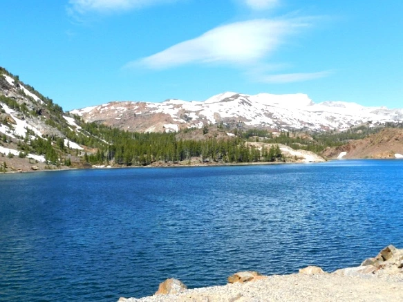 24043D4557721892394323