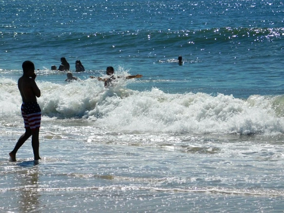 99E2B74E5B5DFC4C04B865