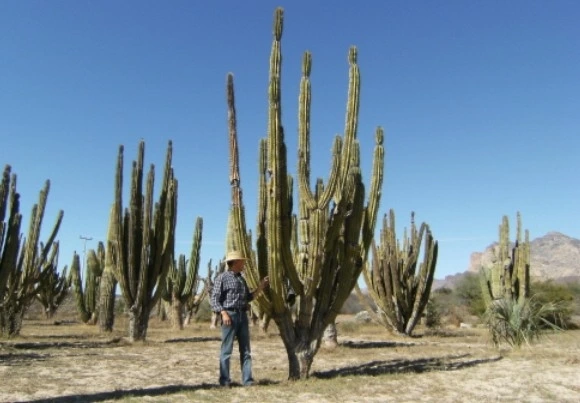 134C860F498676E61FE321