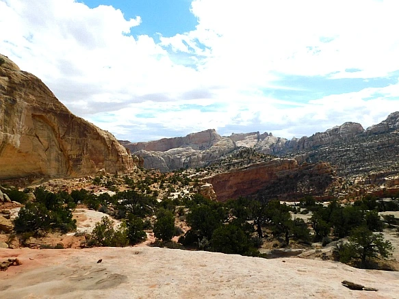 991E50435BC2B4231F2198