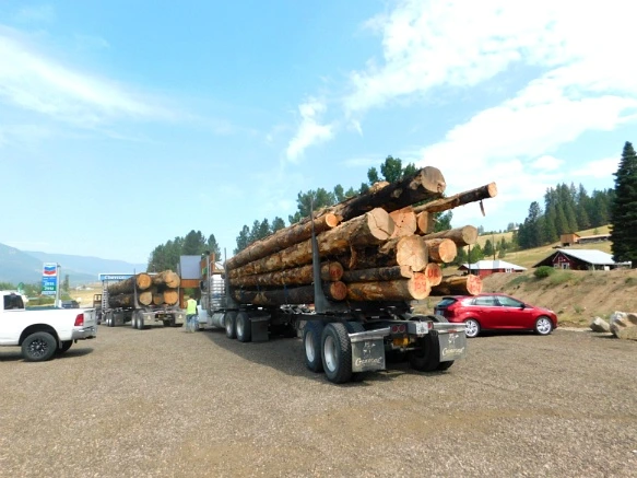 99E88C3359A9EBC6259393