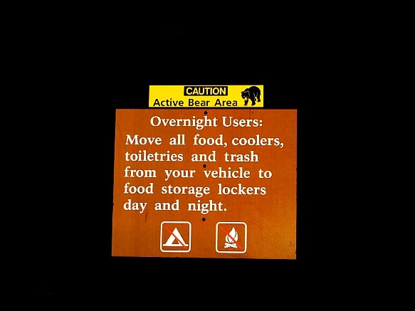 99CAE0385BDBDB2D232D16