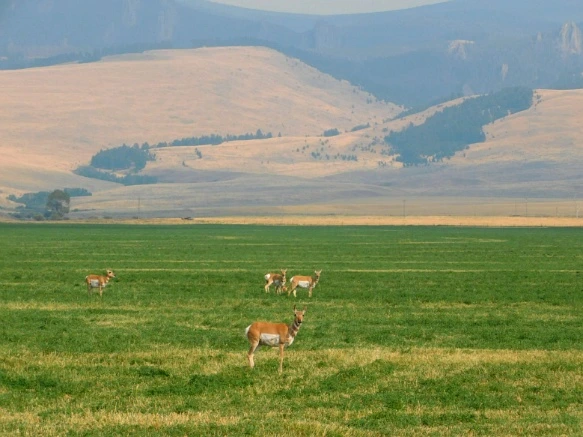 995F2B33599E4F614090B0