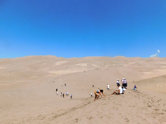 991F78485B69203802892F