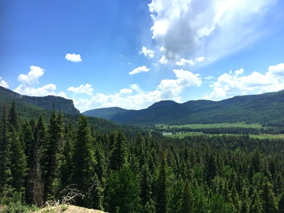 252B193D5760C15D2EA0F5