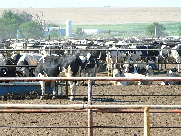 2120D4355782FDD1206D1A