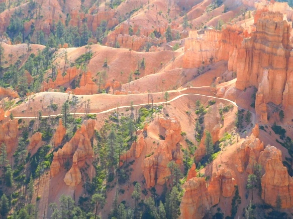 261D9A355769D76920425A