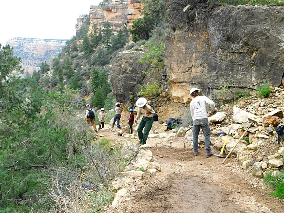 999F7F3D5BC9513D0E35CC