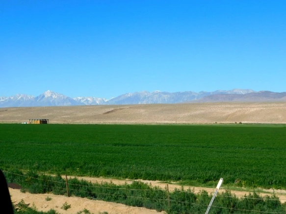 26012E4157702E33259022