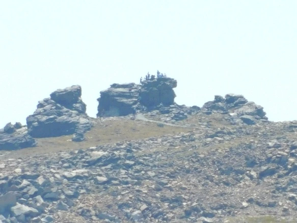 990AEB495B74D02E3350FF