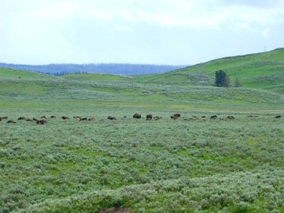 99B7A0495B39A84314AFD5