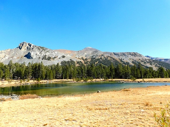 9985D9335BD66E1A33A34F