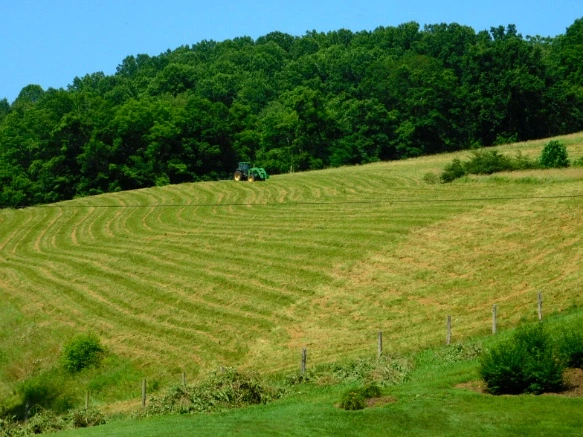 274EFB4B5950247A32E8B7